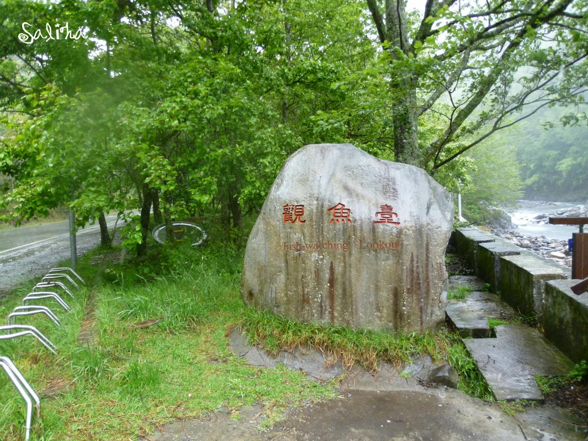 20250524-c15m7