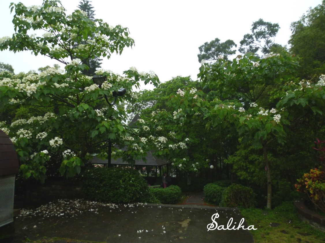 20250524-s8h9v