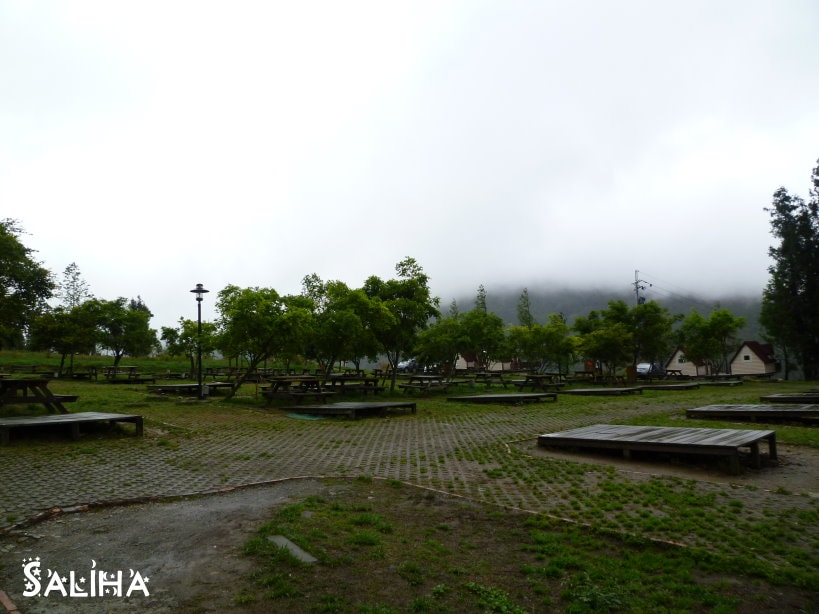 20250524-wg31u