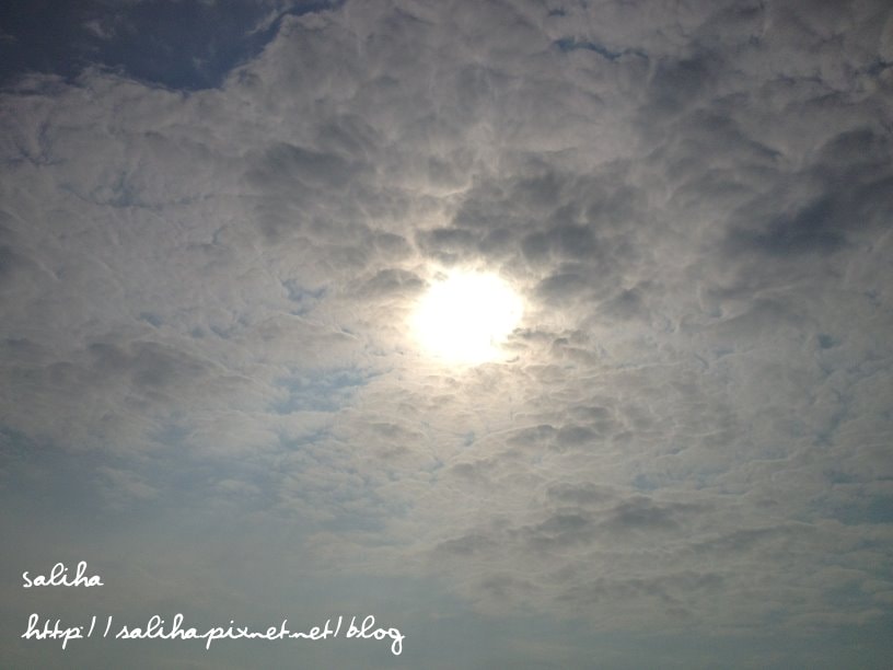 20250524-8ywjl-1