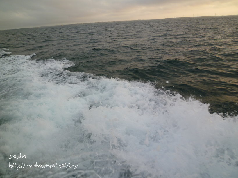 20250524-lht5i