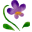 20250524-p7xsa