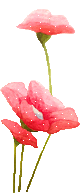 20250524-r7eo8