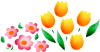 20250524-vbhdy