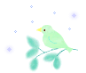 20250524-ah6ut