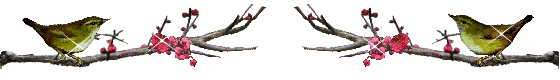 20250524-brwh7
