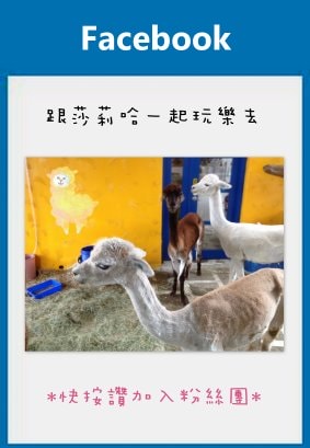 20250524-j7yu8