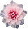 20250524-jscs0