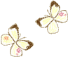20250524-kmlww