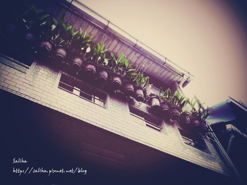 20250524-vyktd