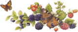 20250524-dyfyg