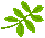 20250524-hhf13