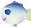 20250524-ledbo