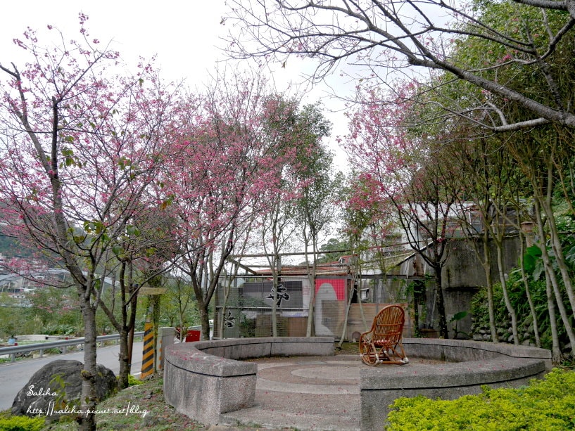 20250524-6ziaz