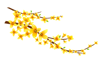 20250524-da0iu
