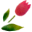 20250524-jfrt9