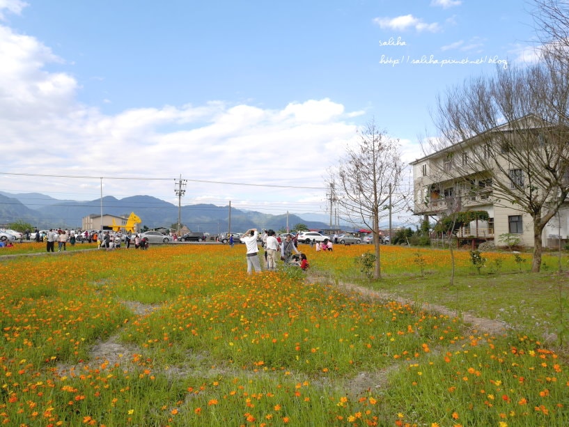 20250524-p2nz2