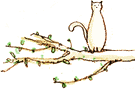 20250524-qba4d