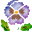 20250524-p7xu4