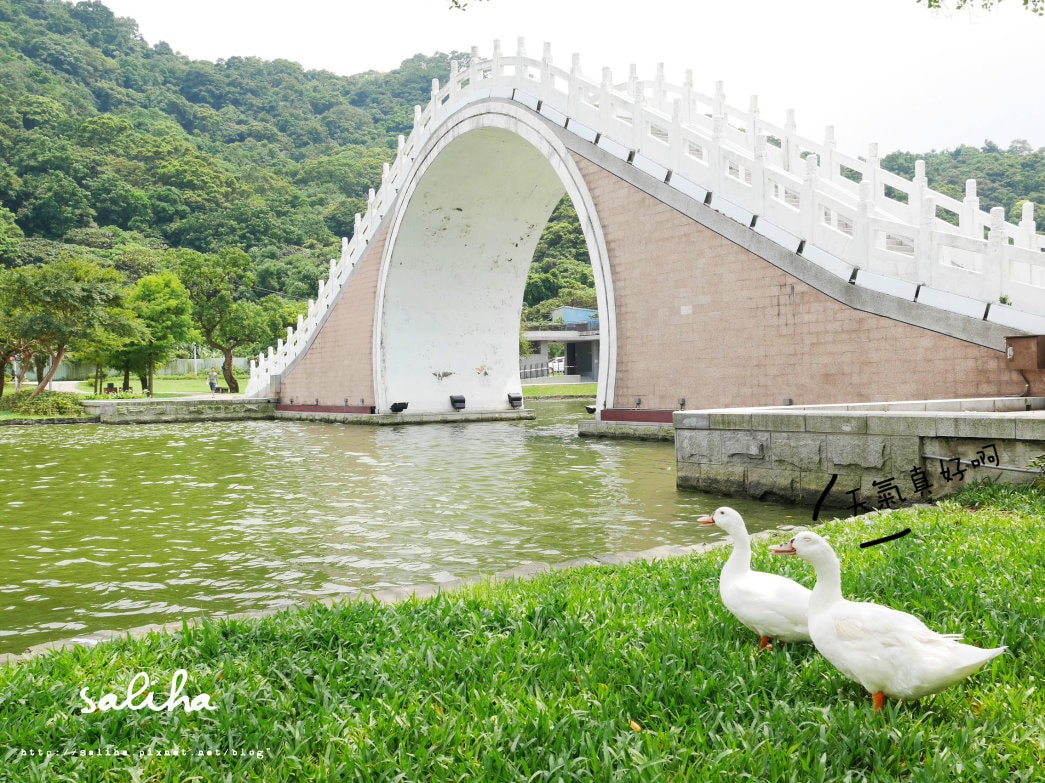 20250524-yze19