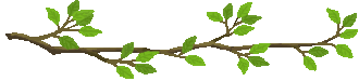 20250524-l1bb9
