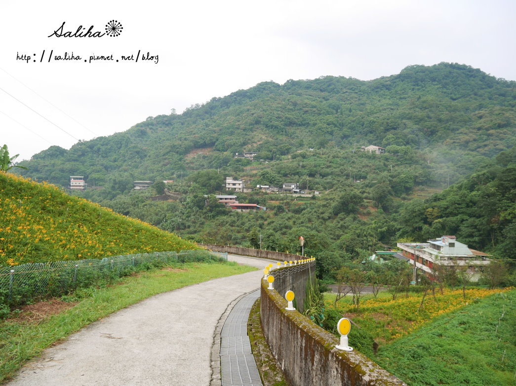 20250524-cttee
