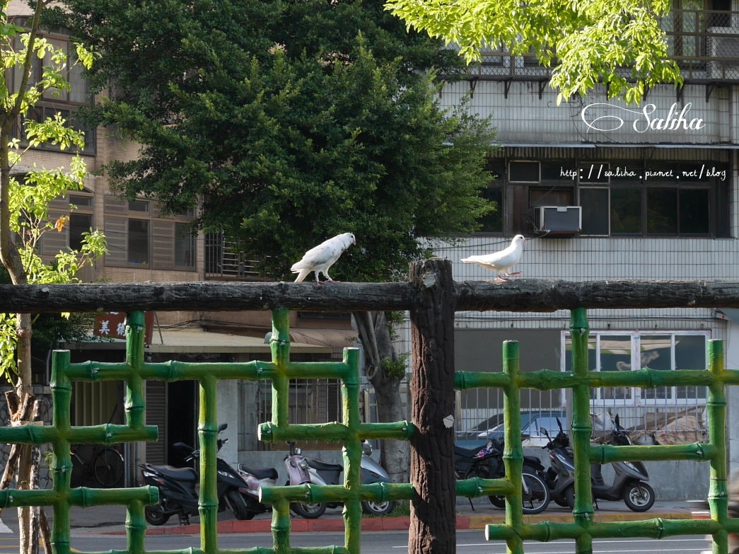 20250524-ojjqr