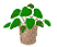 20250524-ql0y9
