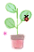 20250524-zopup