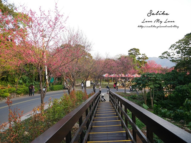 20250524-4sg2w