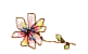 20250524-8ruew