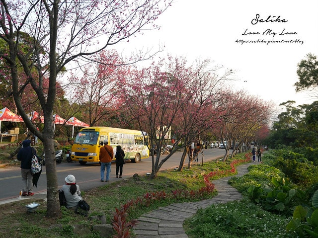 20250524-dy5qq