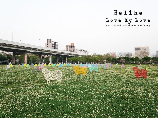 20250524-3qluw