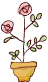 20250524-aumxy