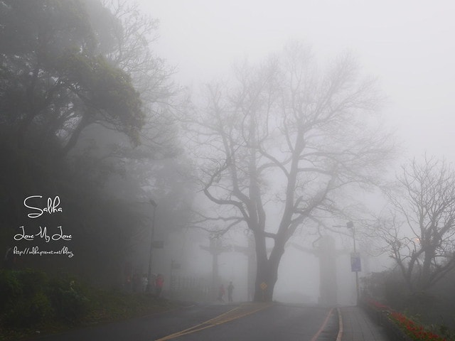 20250524-0lwxj