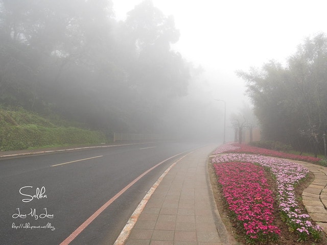 20250524-ciff1