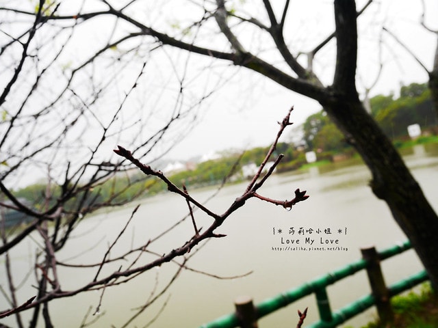20250524-1f2pc