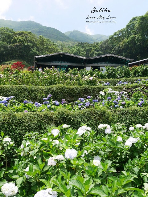 20250524-scuyi