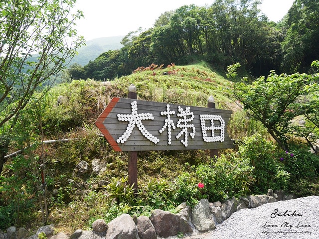20250524-ssihc