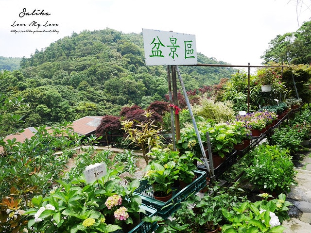 20250524-u3pl5