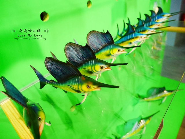 20250524-daoqu