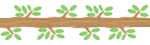 20250524-nxf8h