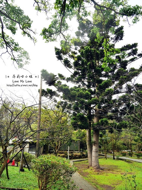 20250524-1ksee