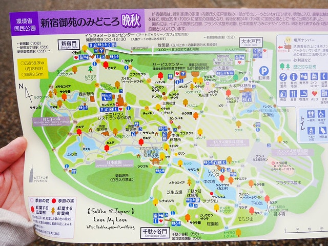 20250524-u6156