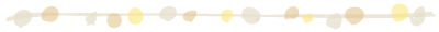 20250524-62ofr