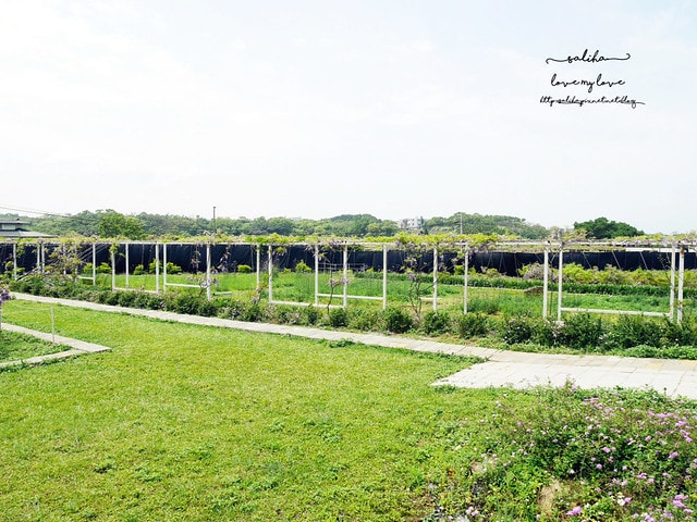 20250524-agyl4