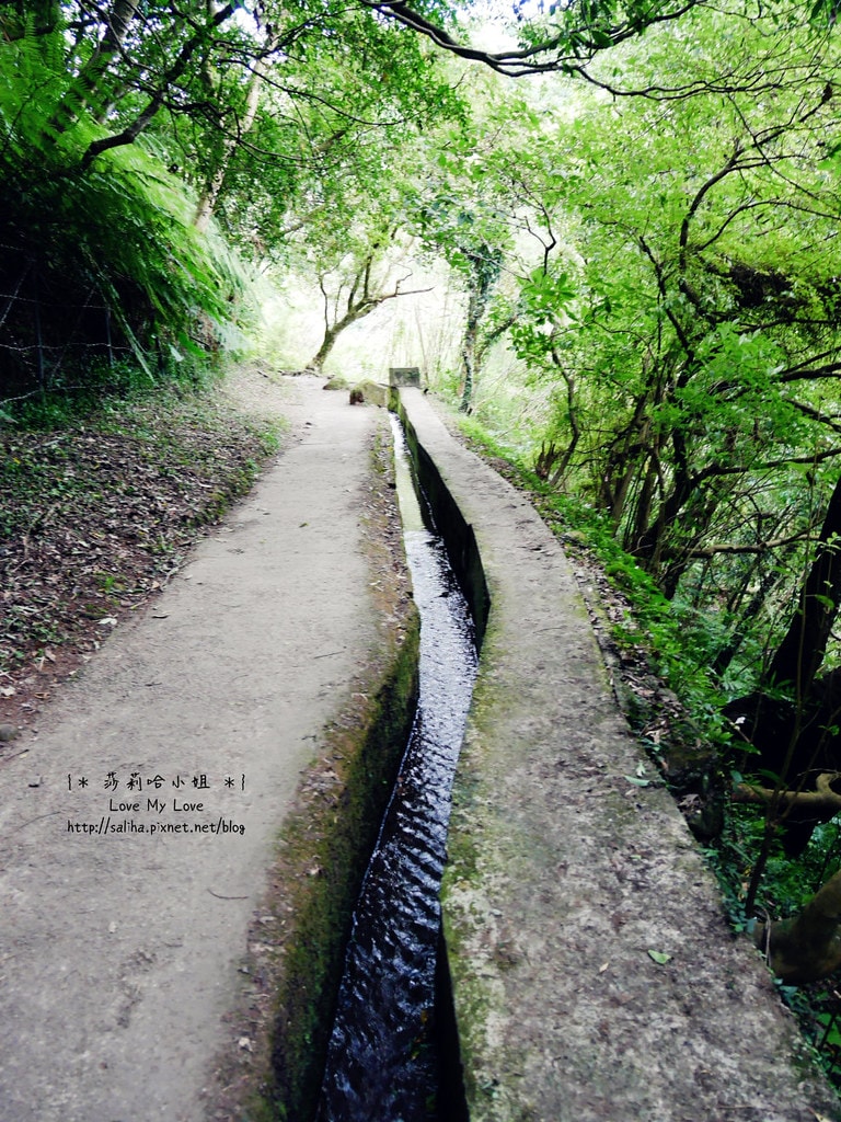 20250524-99cj5