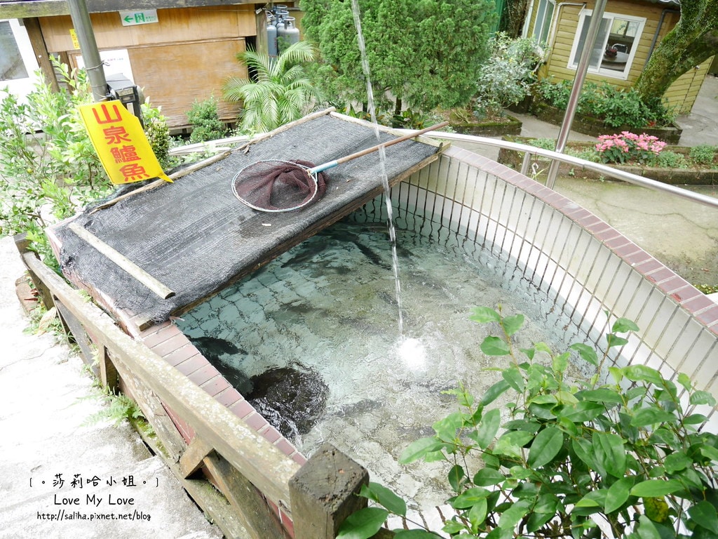 20250524-gknfd
