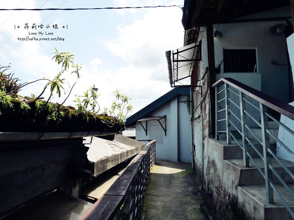 20250524-pgowt