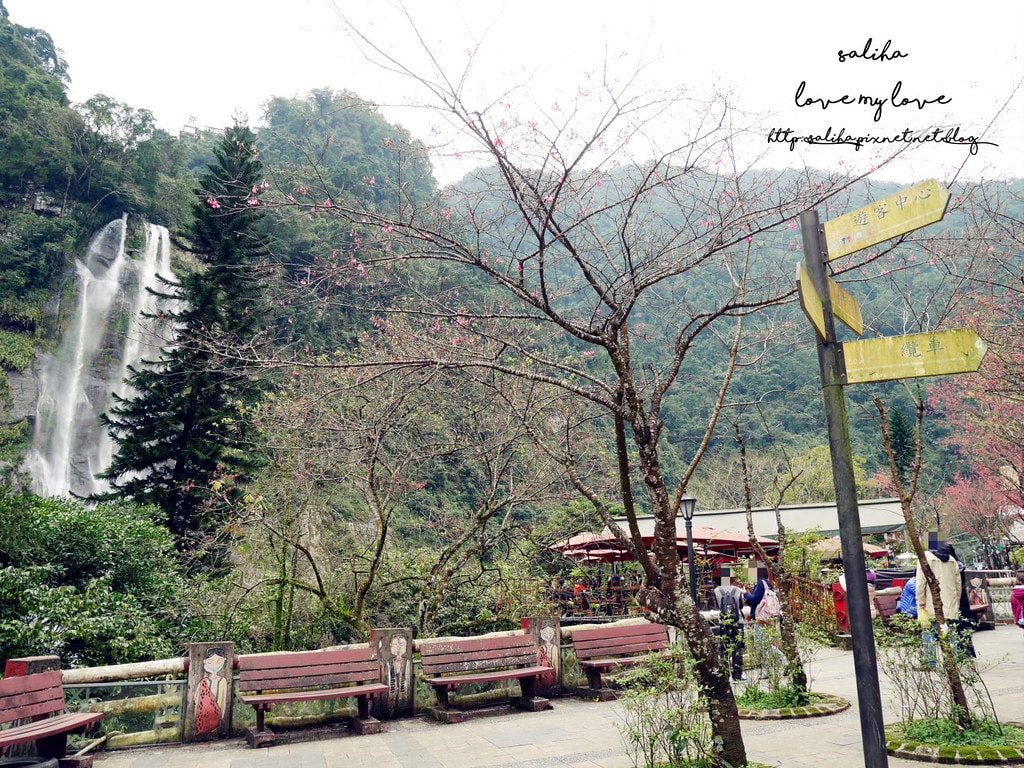 20250524-wey28